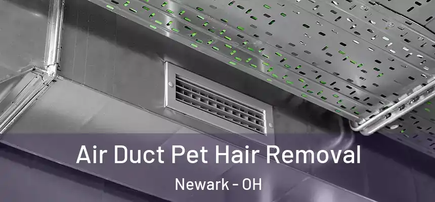  Air Duct Pet Hair Removal Newark - OH