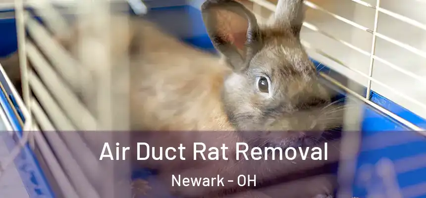 Air Duct Rat Removal Newark - OH