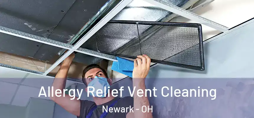  Allergy Relief Vent Cleaning Newark - OH