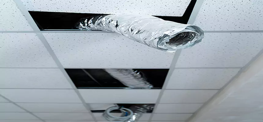 Our Air Duct Pet Hair Removal Services in Newark, OH