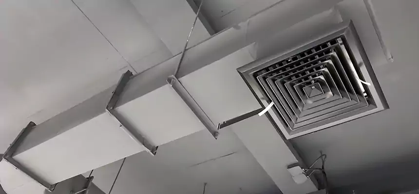 Our Pest Removal From Ducts Services in Newark, OH