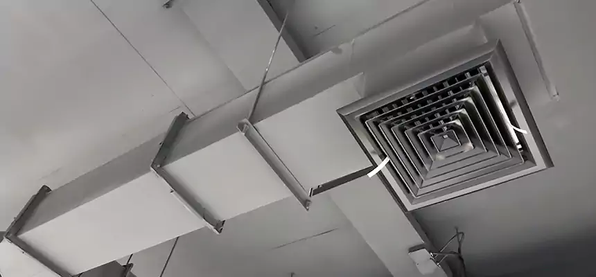 Our Rodent Droppings In Vents Services in Newark, OH