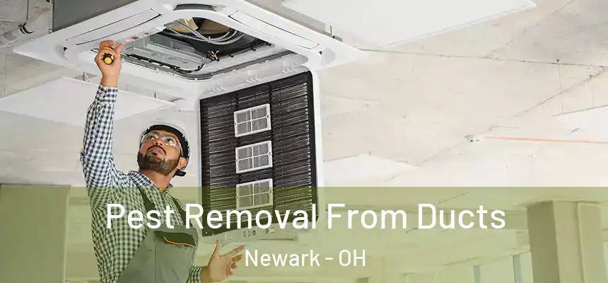  Pest Removal From Ducts Newark - OH