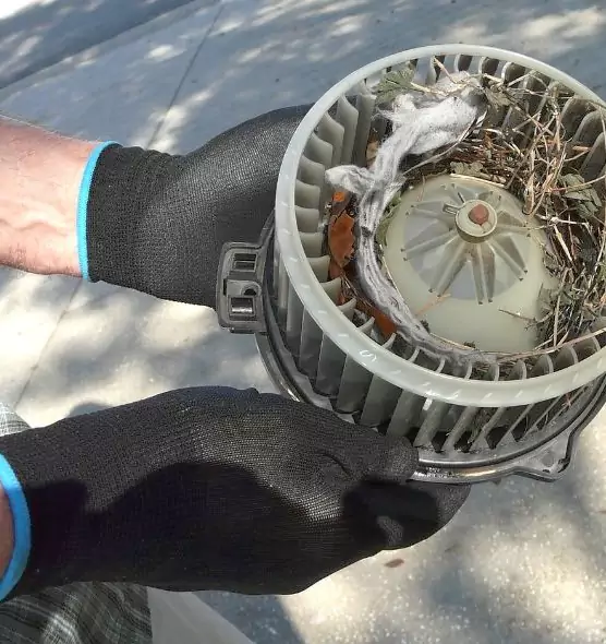 About Air Duct Rat Removal in Newark, OH