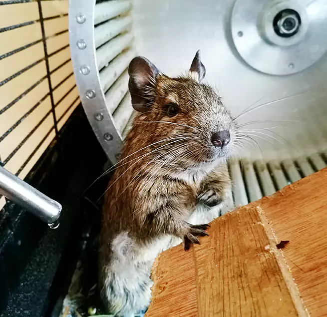 Why Homeowners & Businesses Trust Us Newark, OH